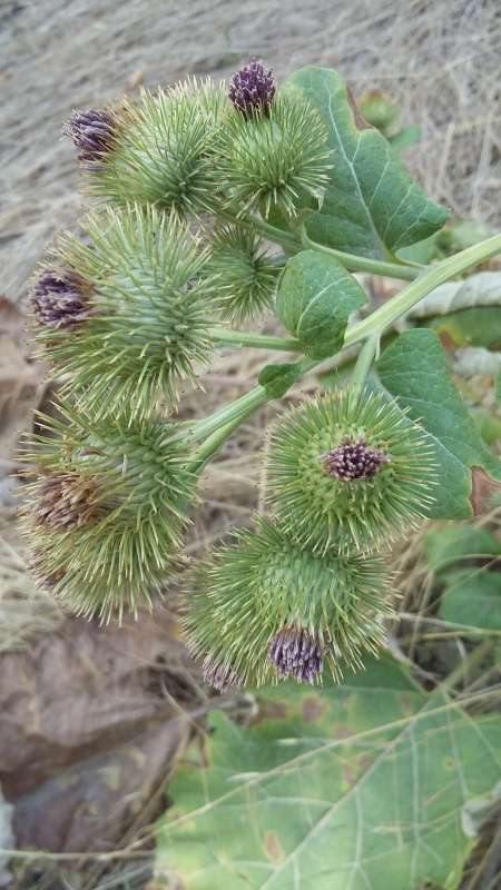 �������... ����� �����������  �� PhotoGeek.ru #������ ��� �������