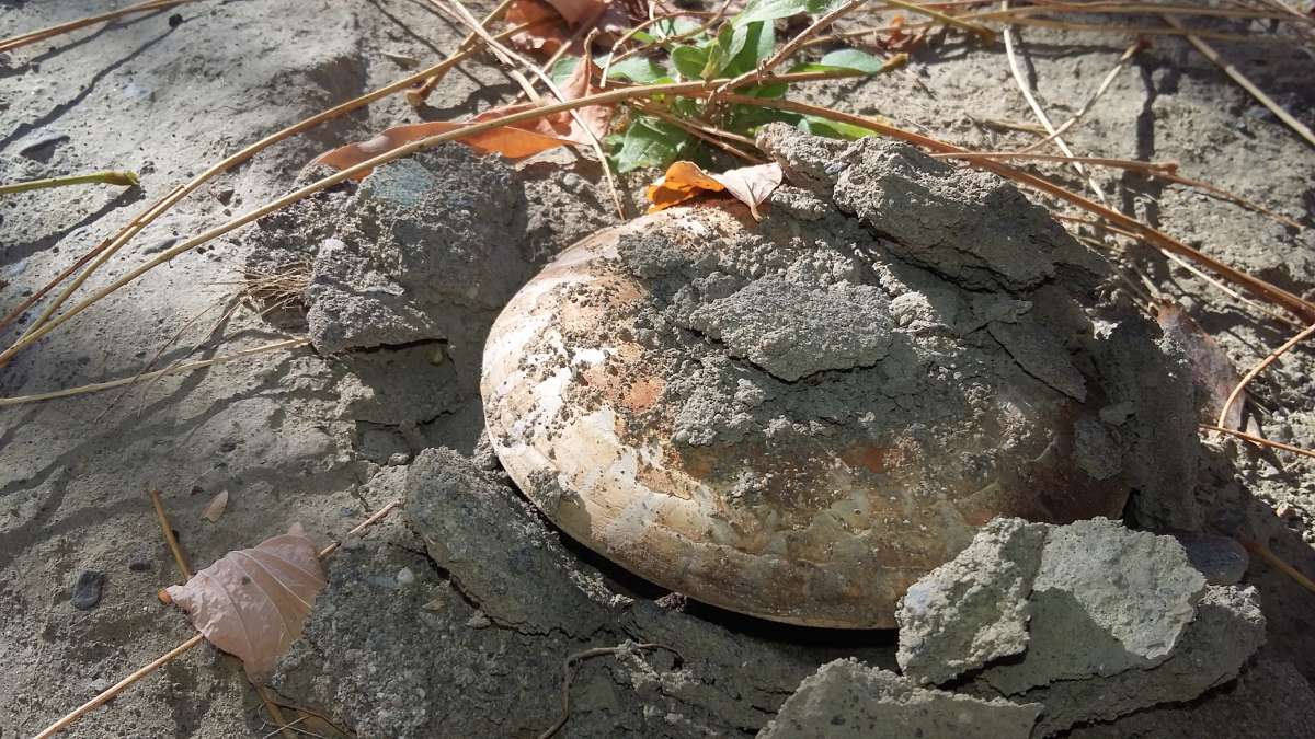 ������ ���������... ����� �����������  �� PhotoGeek.ru #������ ��� �������