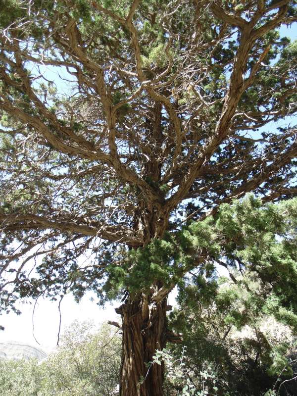 ������������... ����� �����������  �� PhotoGeek.ru #������ ��� �������