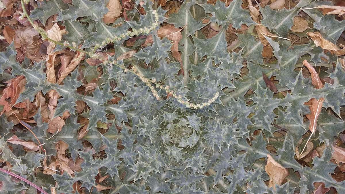 ���������... ����� �����������  �� PhotoGeek.ru #������ ��� �������