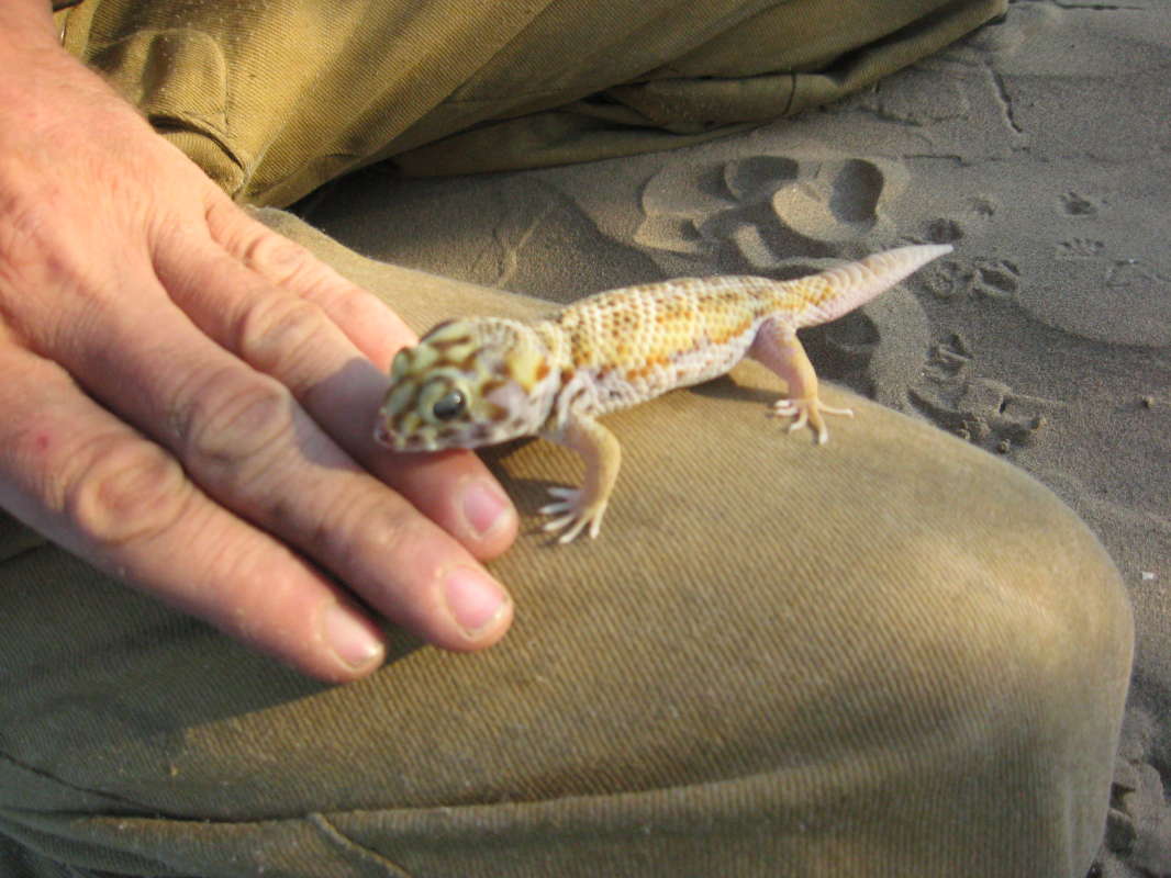 �������... ����� �����������  �� PhotoGeek.ru #�������� ��� #��������