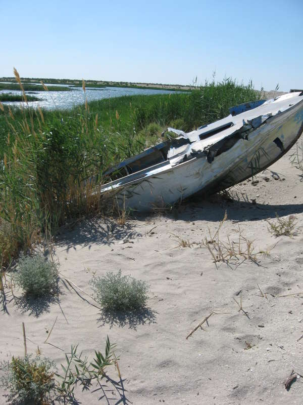 ������ �����... ����� �����������  �� PhotoGeek.ru #��������