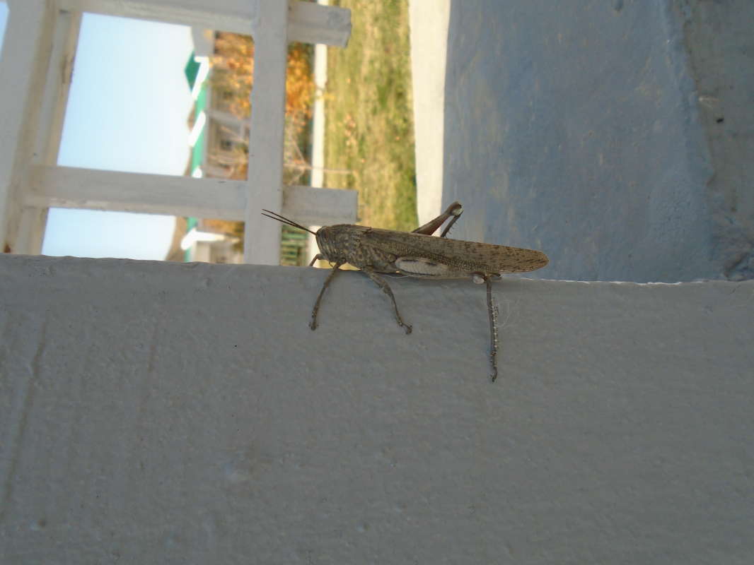 ������� ��� ������������ �����... ����� �����������  �� PhotoGeek.ru #�������� ���