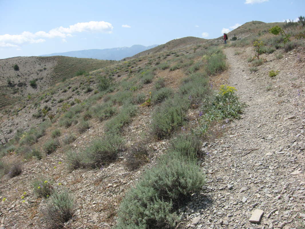 �� �����... ����� �����������  �� PhotoGeek.ru #������ ��� �������