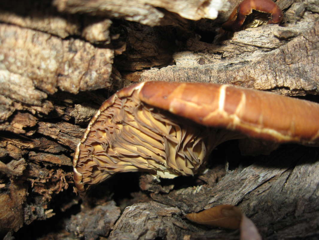 ������� �������... ����� �����������  �� PhotoGeek.ru #������ ��� ������� #��������