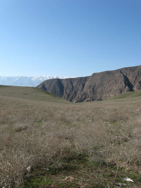 ������ � ����� - ����... ����� �����������  �� PhotoGeek.ru #������ ��� �������