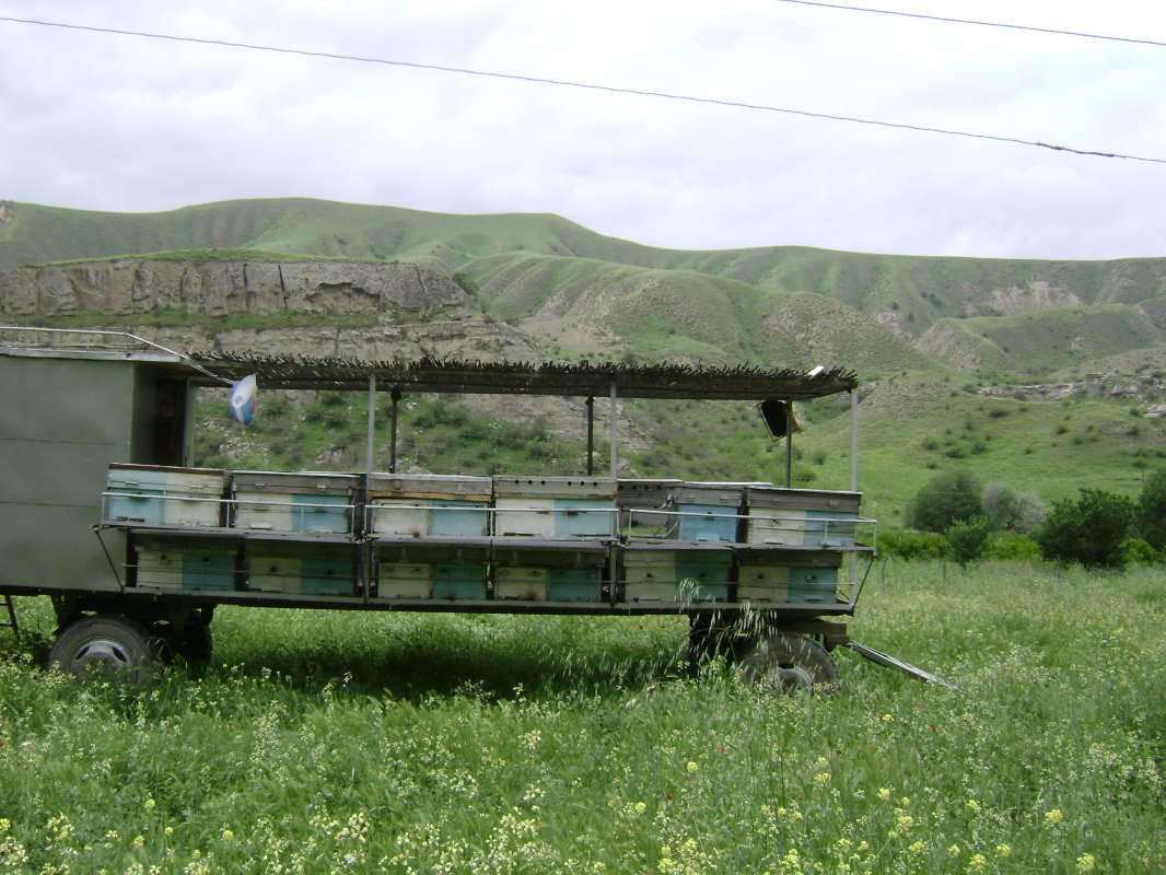 ������ � �����... ����� �����������  �� PhotoGeek.ru #������ ��� �������