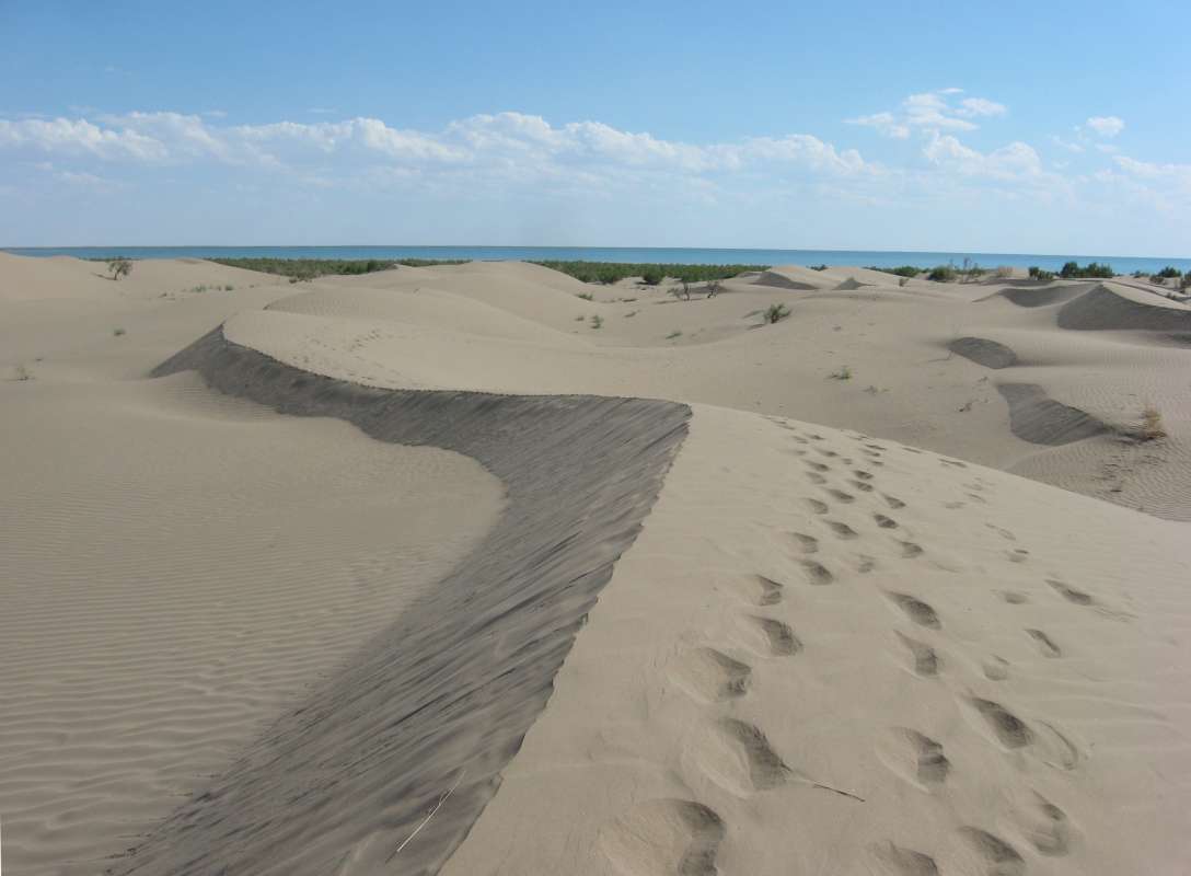 ������� - ����� ���������... ����� �����������  �� PhotoGeek.ru #������ ��� �������