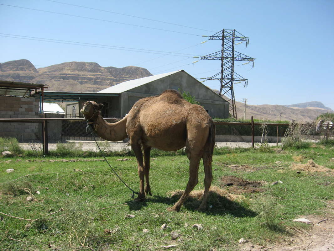 �� ������... ����� �����������  �� PhotoGeek.ru #��������