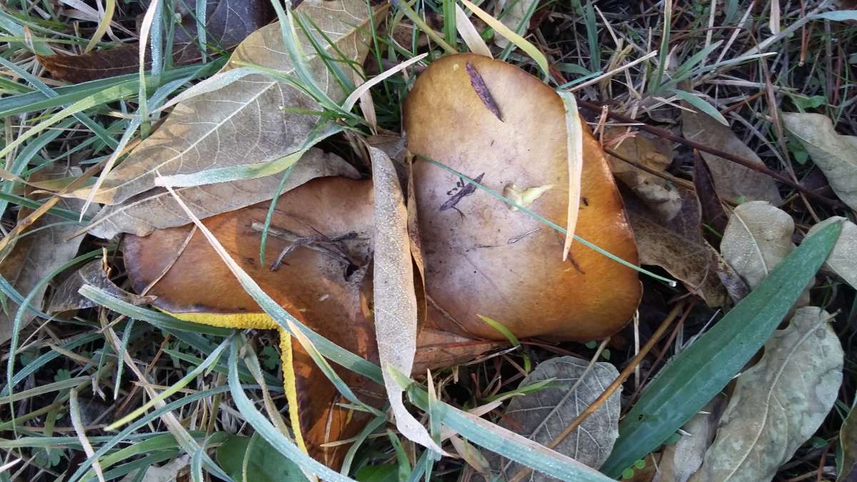 ��������... ����� �����������  �� PhotoGeek.ru #������ ��� �������