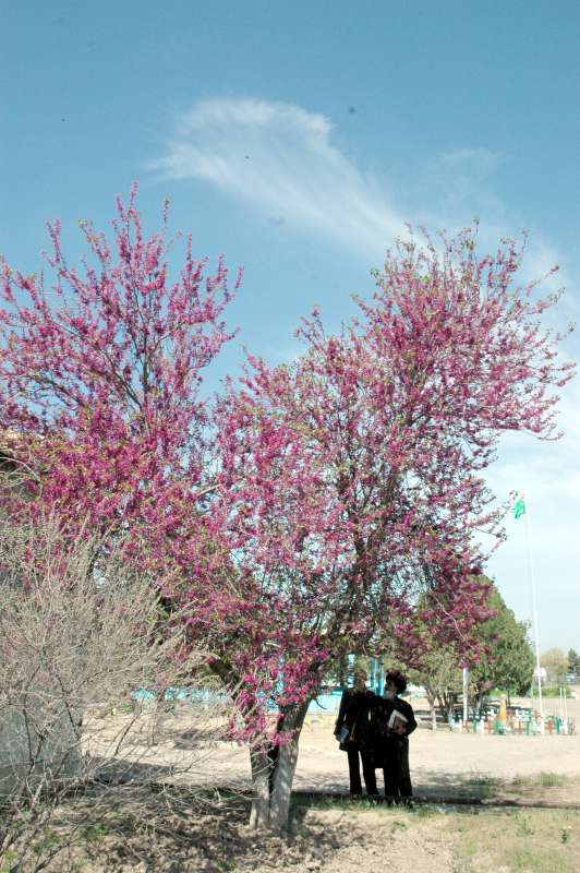 ������� ������... ����� �����������  �� PhotoGeek.ru #������ ��� �������