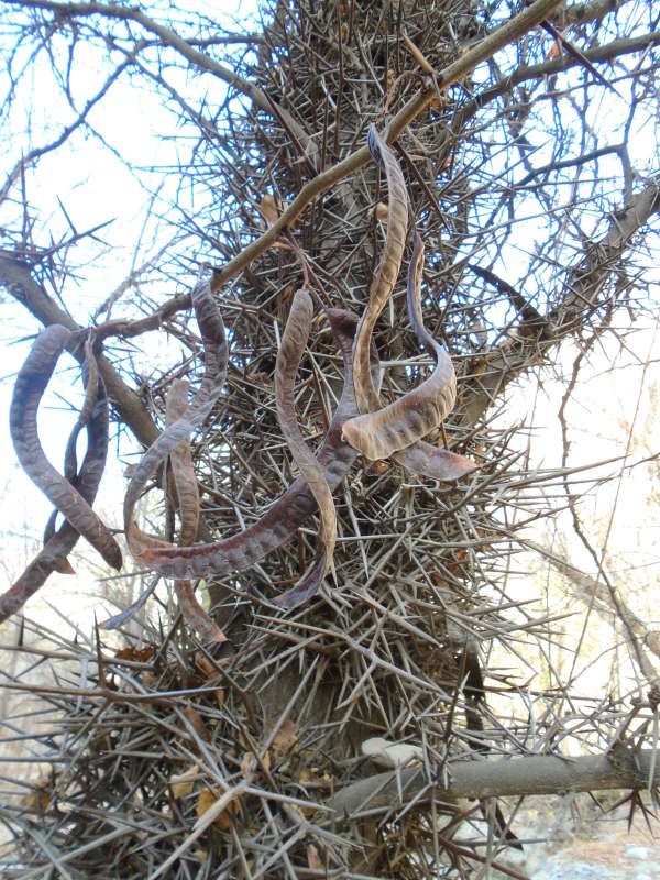 ������� ��������... ����� �����������  �� PhotoGeek.ru #������ ��� �������