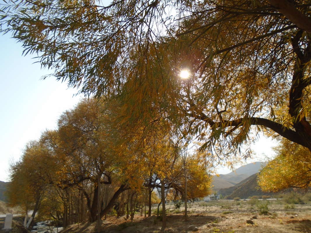 ������... ����� �����������  �� PhotoGeek.ru #������ ��� �������