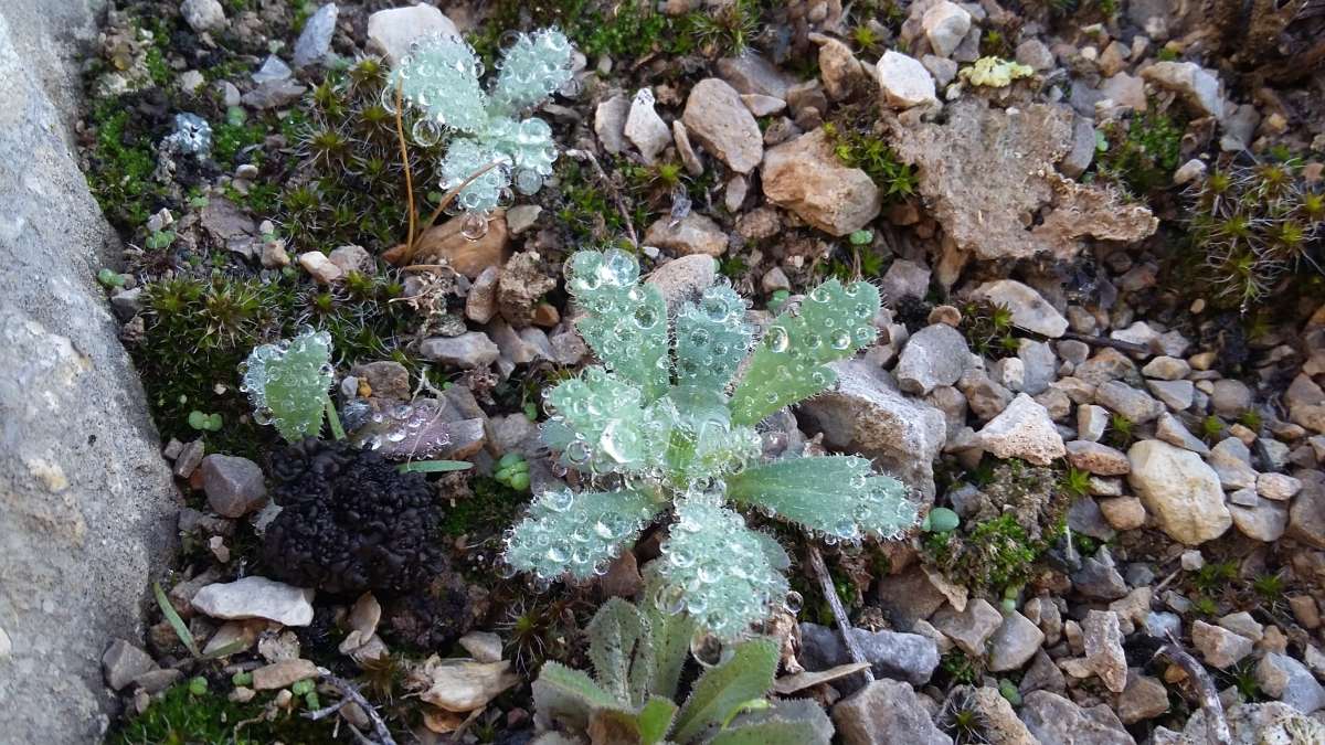 � ����... ����� �����������  �� PhotoGeek.ru #������ ��� �������