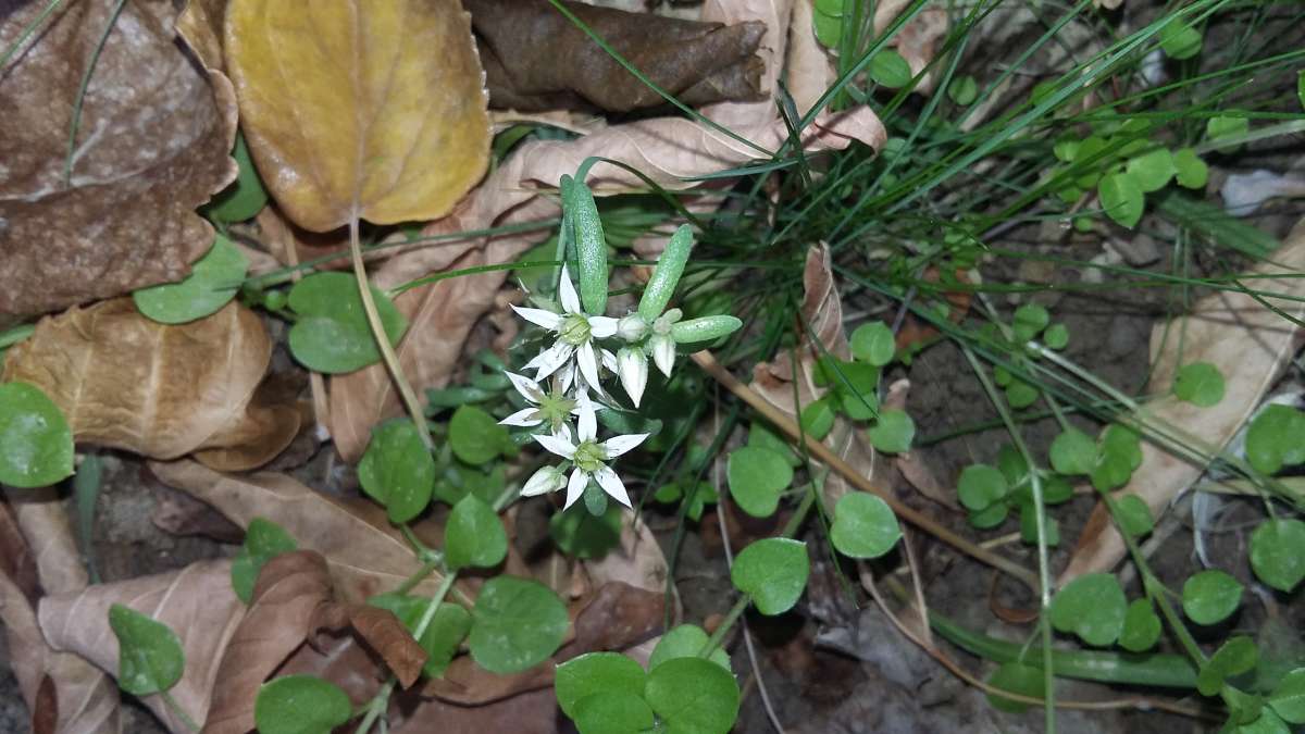 ������� �������... ����� �����������  �� PhotoGeek.ru #������ ��� �������