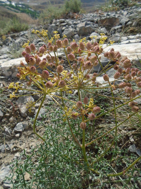 ���������... ����� �����������  �� PhotoGeek.ru #������ ��� �������