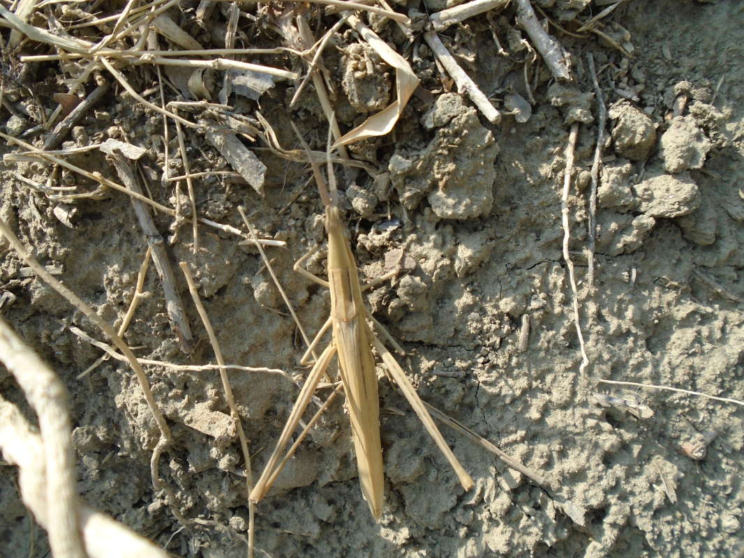 ����������� ���������... ����� �����������  �� PhotoGeek.ru #������ ��� ������� #��������