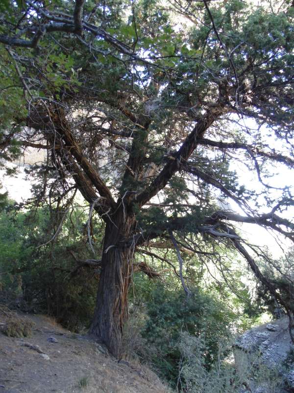 �������.... ����� �����������  �� PhotoGeek.ru #������ ��� �������