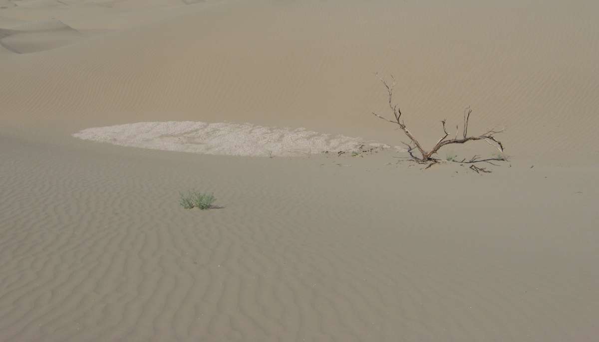 ��������� ������... ����� �����������  �� PhotoGeek.ru #������ ��� �������