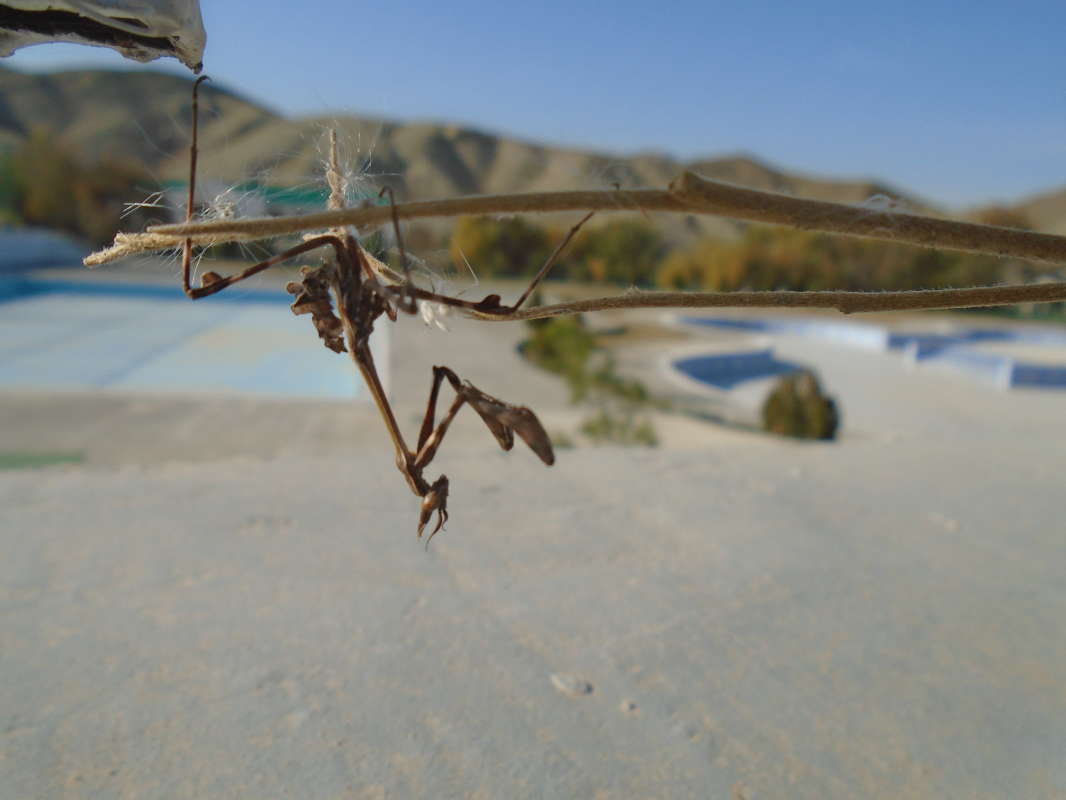 ����� ���� �������... ����� �����������  �� PhotoGeek.ru #������ ��� �������