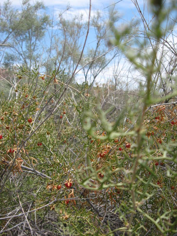 ����������� ������... ����� �����������  �� PhotoGeek.ru #������ ��� �������