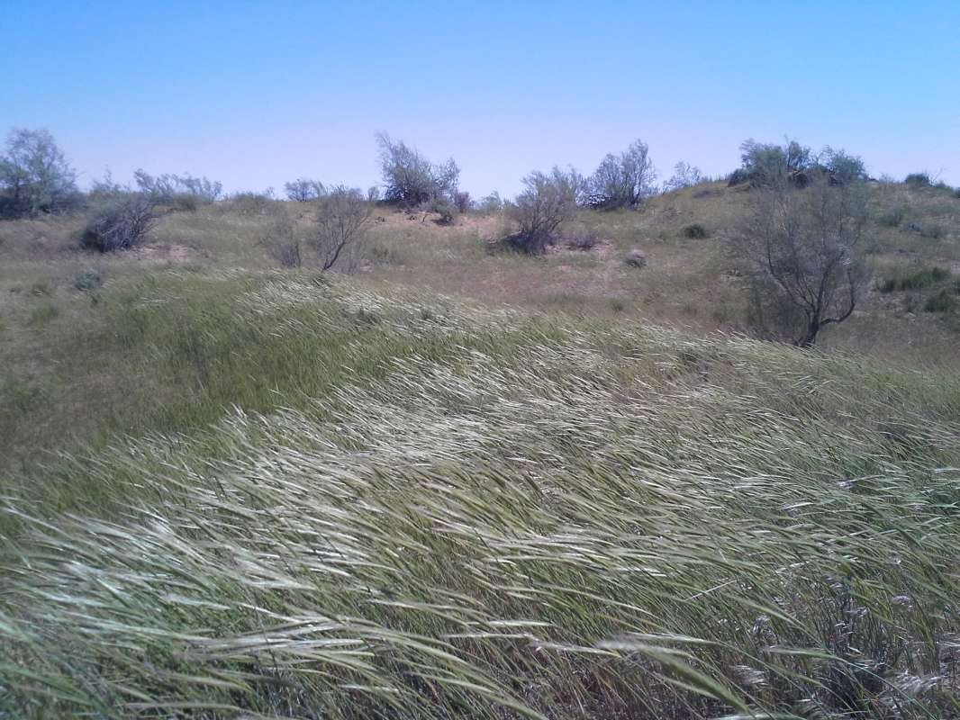 ������ � ������... ����� �����������  �� PhotoGeek.ru #��������