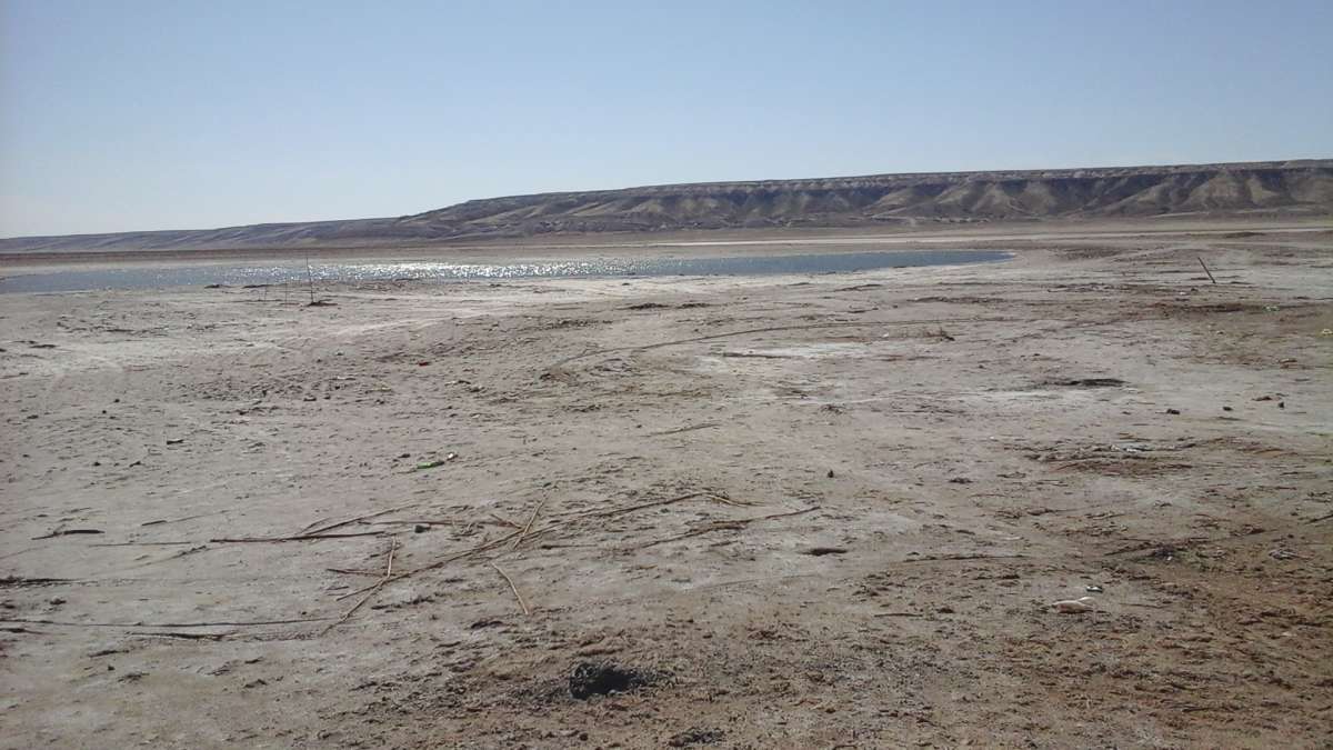 ����� ��� ���? ����� �����������  �� PhotoGeek.ru #��������