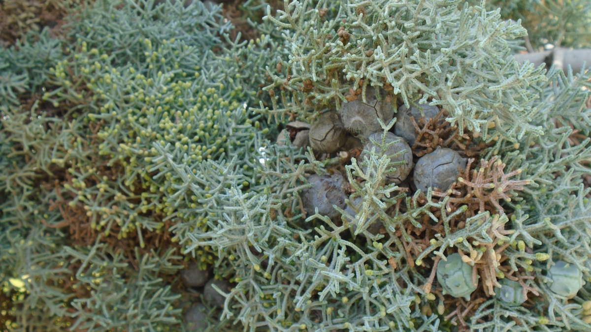 ������� ����������... ����� �����������  �� PhotoGeek.ru #������ ��� �������