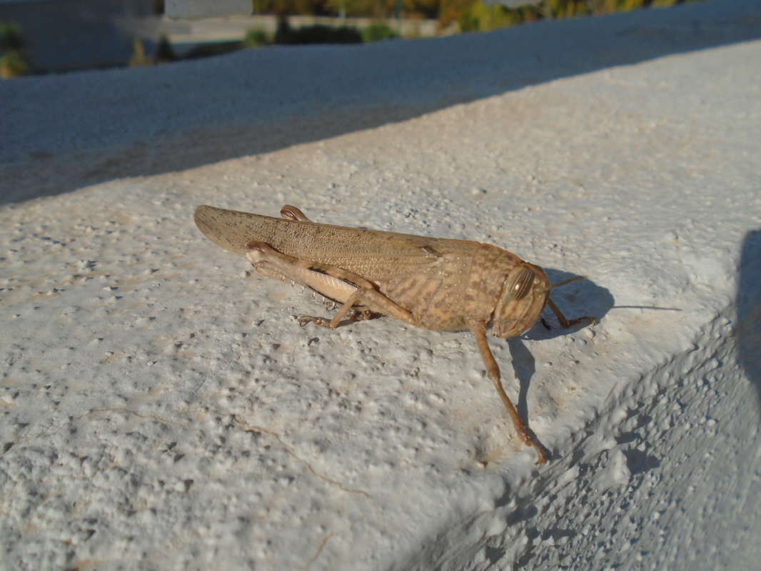 �������... ����� �����������  �� PhotoGeek.ru #��������