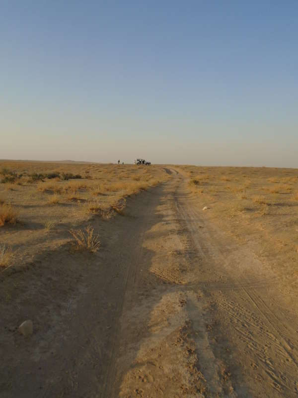 �����... ����� �����������  �� PhotoGeek.ru #��������