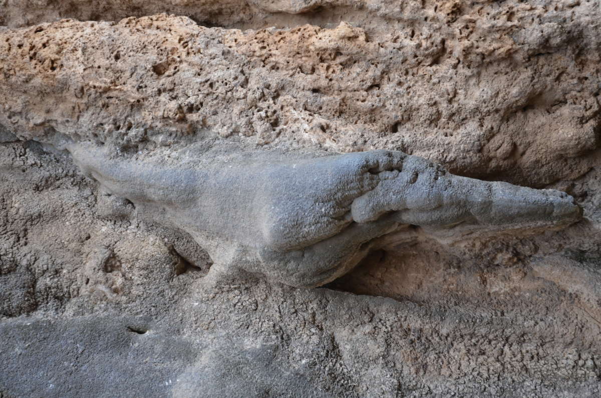 ������ � �����... ����� �����������  �� PhotoGeek.ru #��������