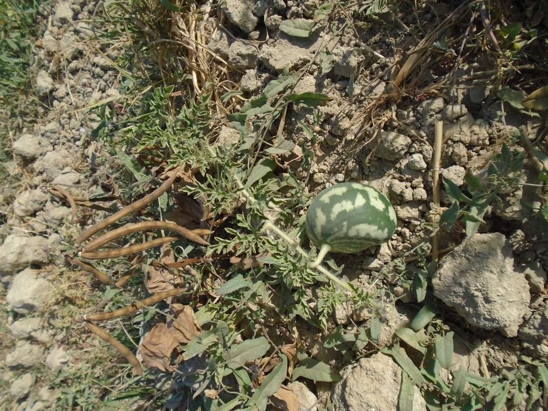 �������... ����� �����������  �� PhotoGeek.ru #��������