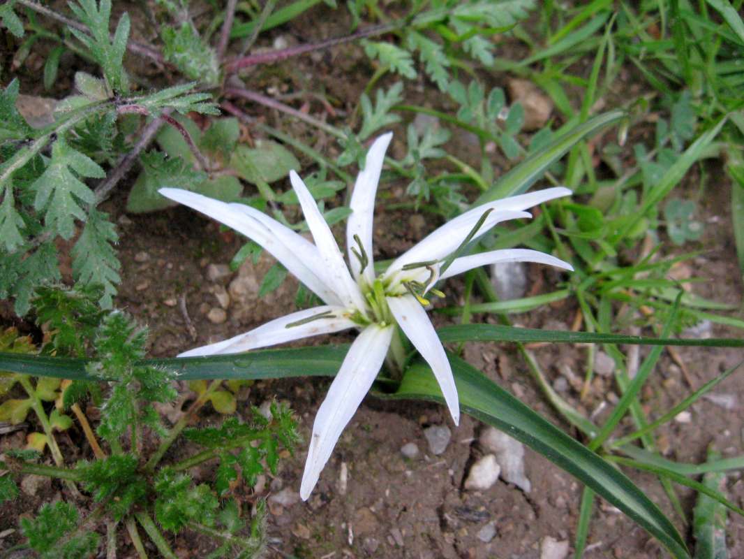 ������... ����� �����������  �� PhotoGeek.ru #��������