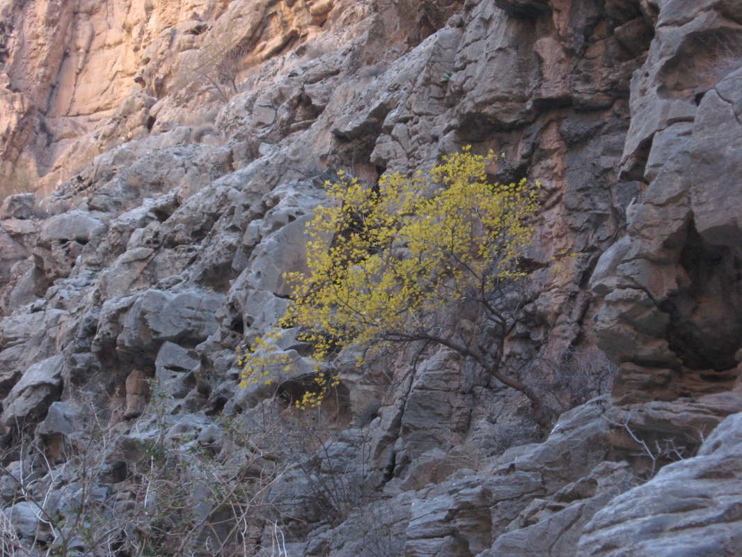 ����� �����... ����� �����������  �� PhotoGeek.ru #��������