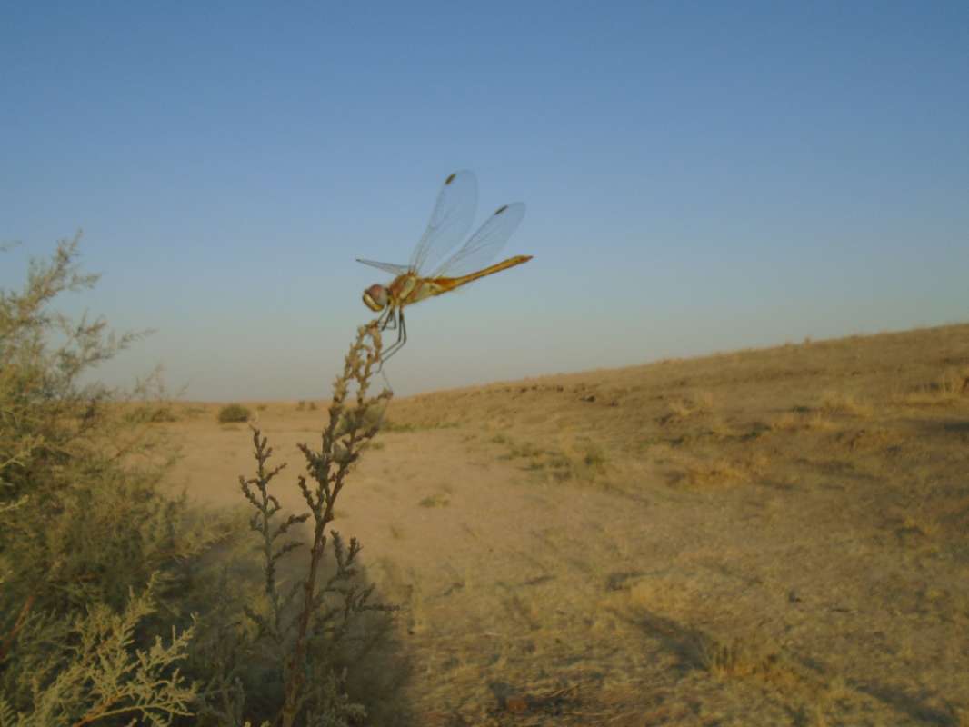 ����������... ����� �����������  �� PhotoGeek.ru #��������