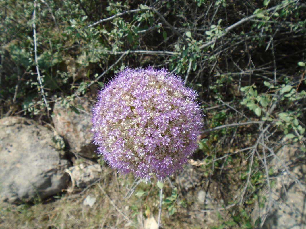 ����� ���... ����� �����������  �� PhotoGeek.ru #��������