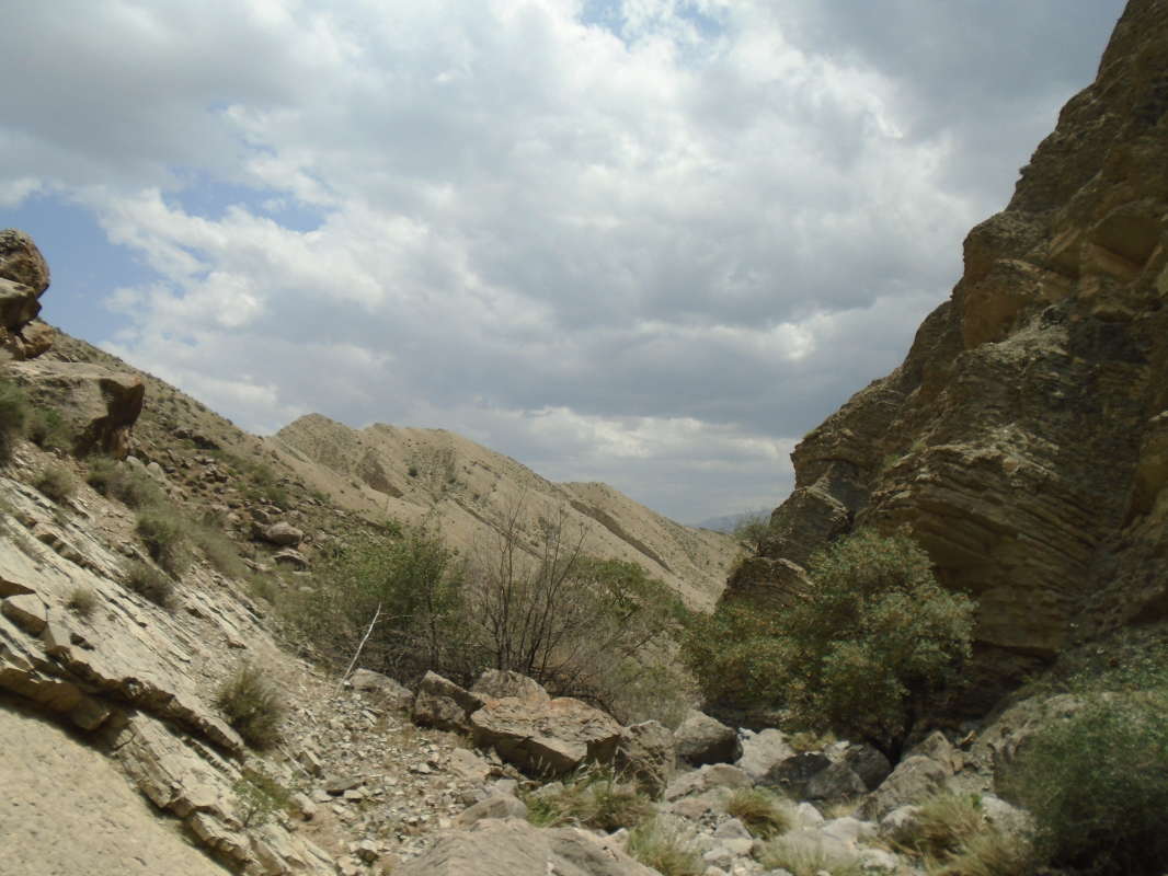 �����.. ����� �����������  �� PhotoGeek.ru #��������