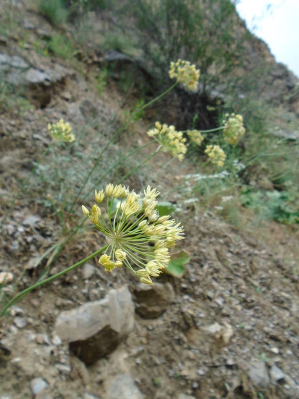 ��� ����� ���... ����� �����������  �� PhotoGeek.ru #��������