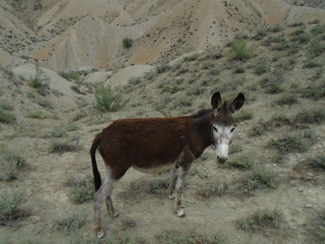 ����� ����� �����... ����� �����������  �� PhotoGeek.ru #��������