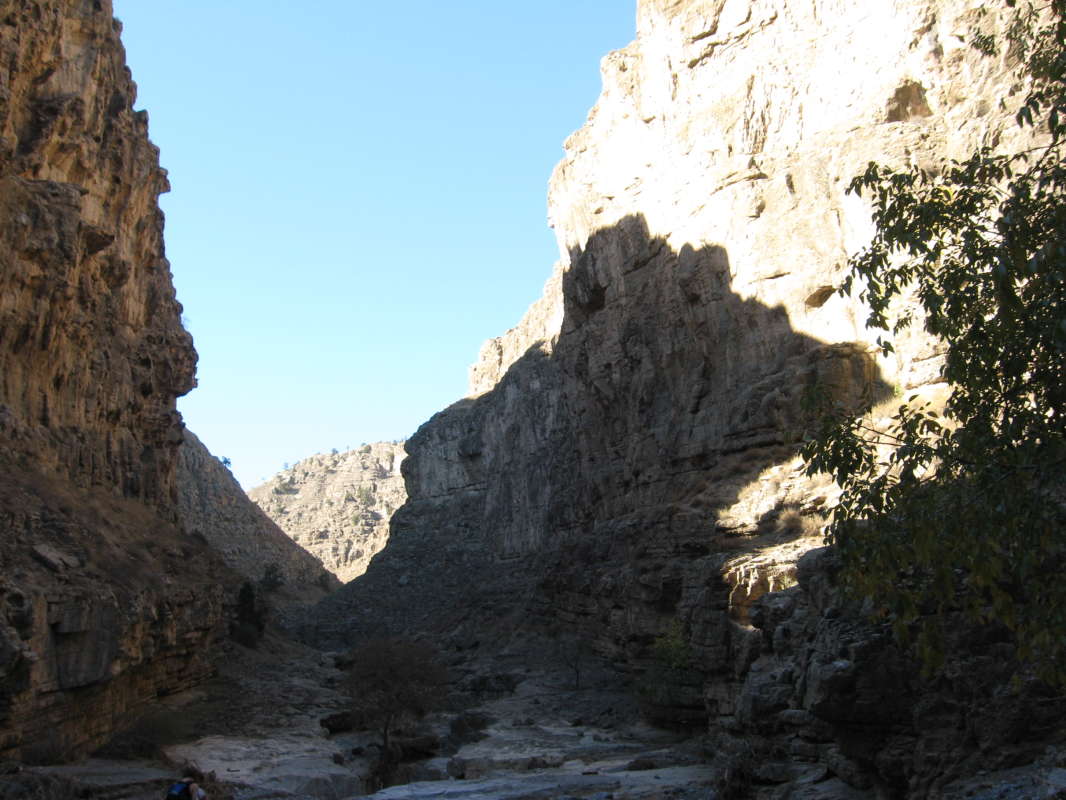 ���� �� �������... ����� �����������  �� PhotoGeek.ru #��������