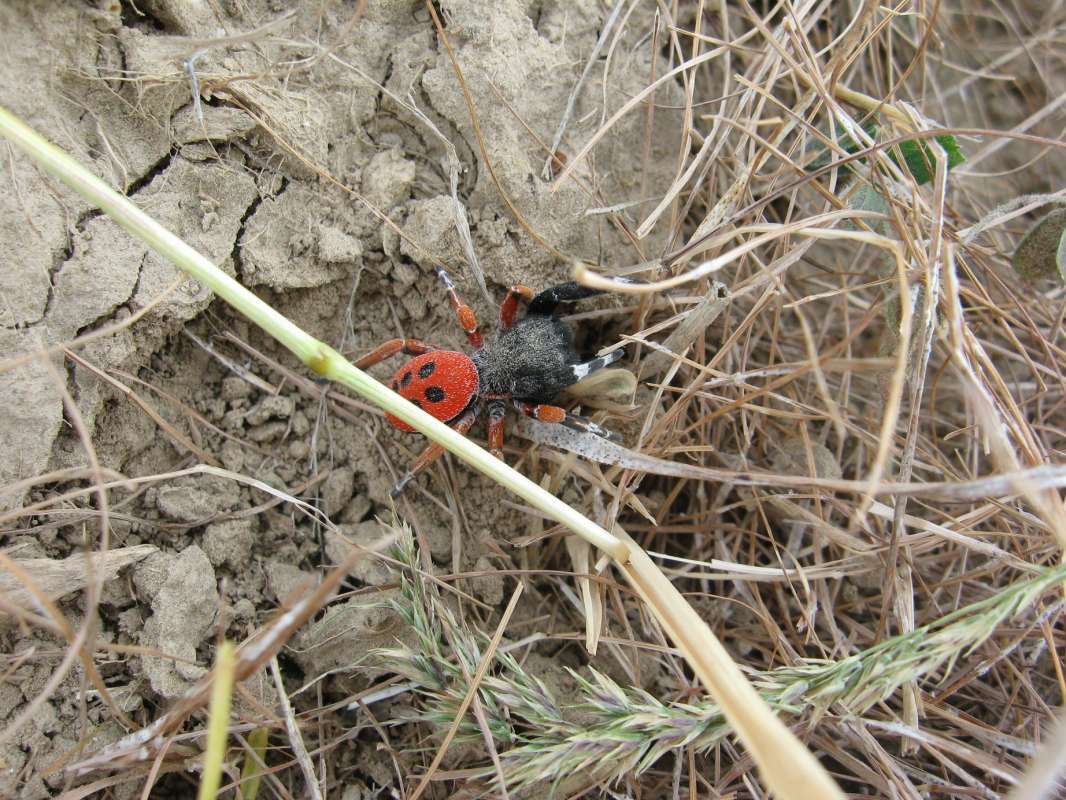 ��� ������... ����� �����������  �� PhotoGeek.ru #��������