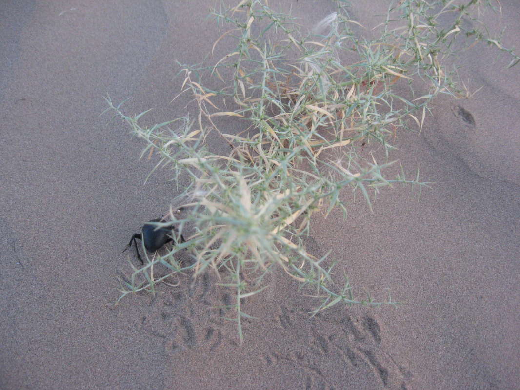 �������� ����� ����������... ����� �����������  �� PhotoGeek.ru #��������