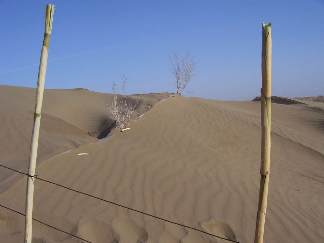 ��� ������... ����� �����������  �� PhotoGeek.ru #��������