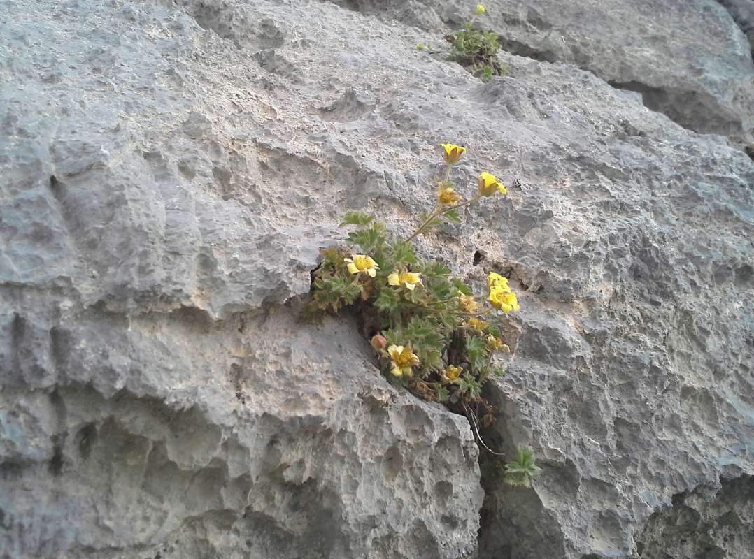 ��������� ���... ����� �����������  �� PhotoGeek.ru #��������