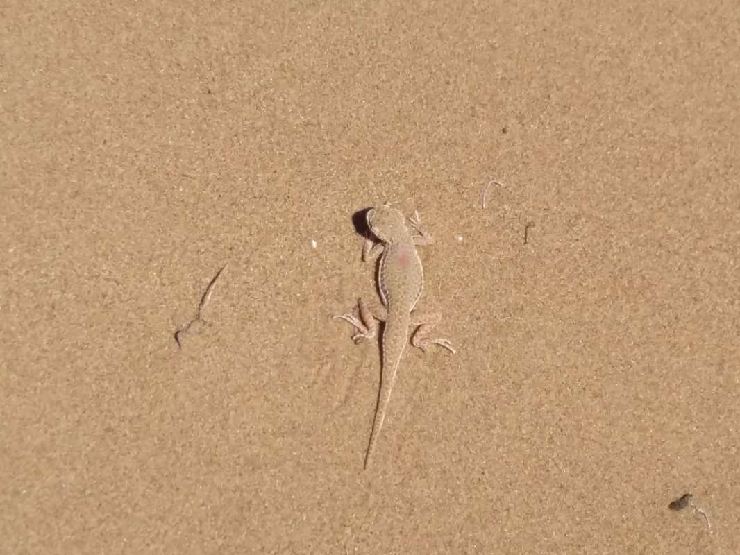 ��������... ����� �����������  �� PhotoGeek.ru #��������