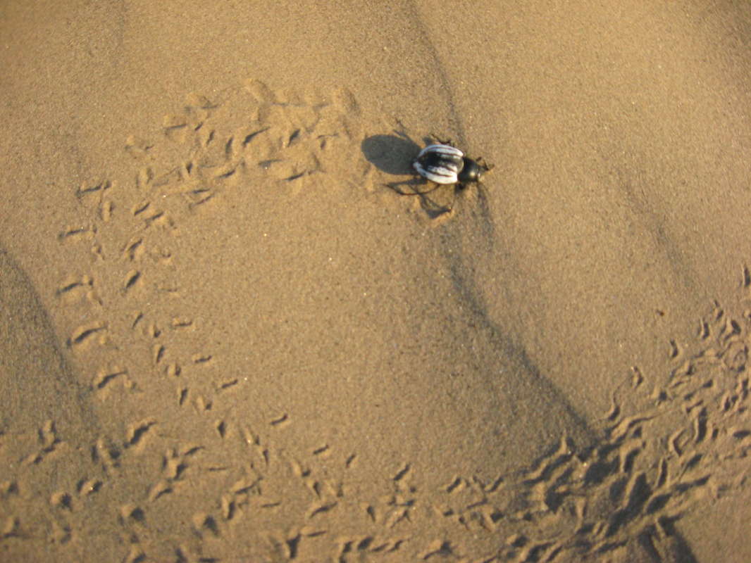 ... ����� �����������  �� PhotoGeek.ru #��������