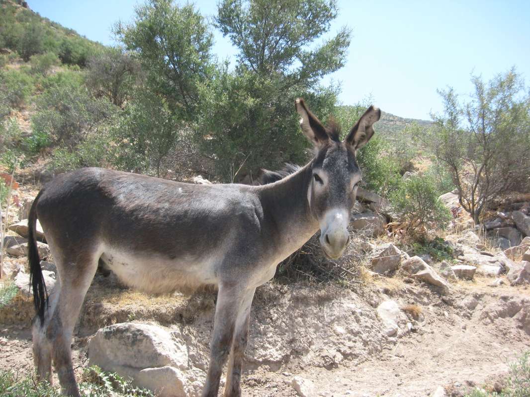 ���������� �� ������... ����� �����������  �� PhotoGeek.ru #��������