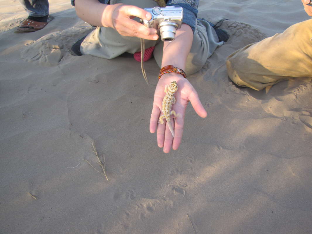 �� ������... ����� �����������  �� PhotoGeek.ru #��������