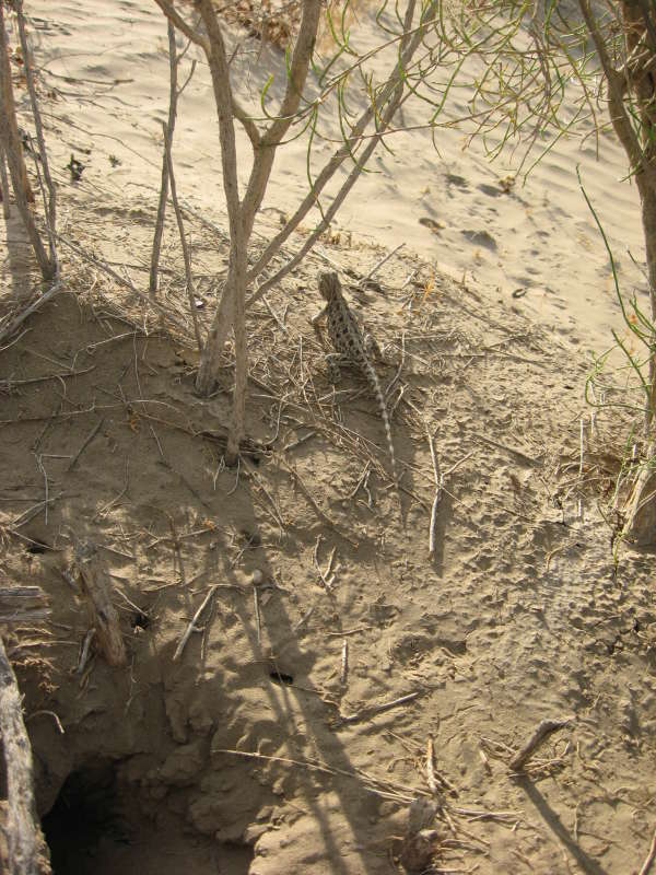 ��� � �����... ����� �����������  �� PhotoGeek.ru #��������