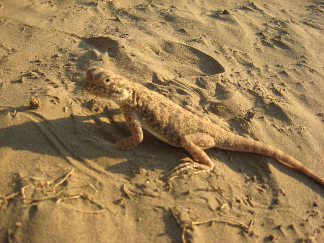 ��� ����? ����� �����������  �� PhotoGeek.ru #��������